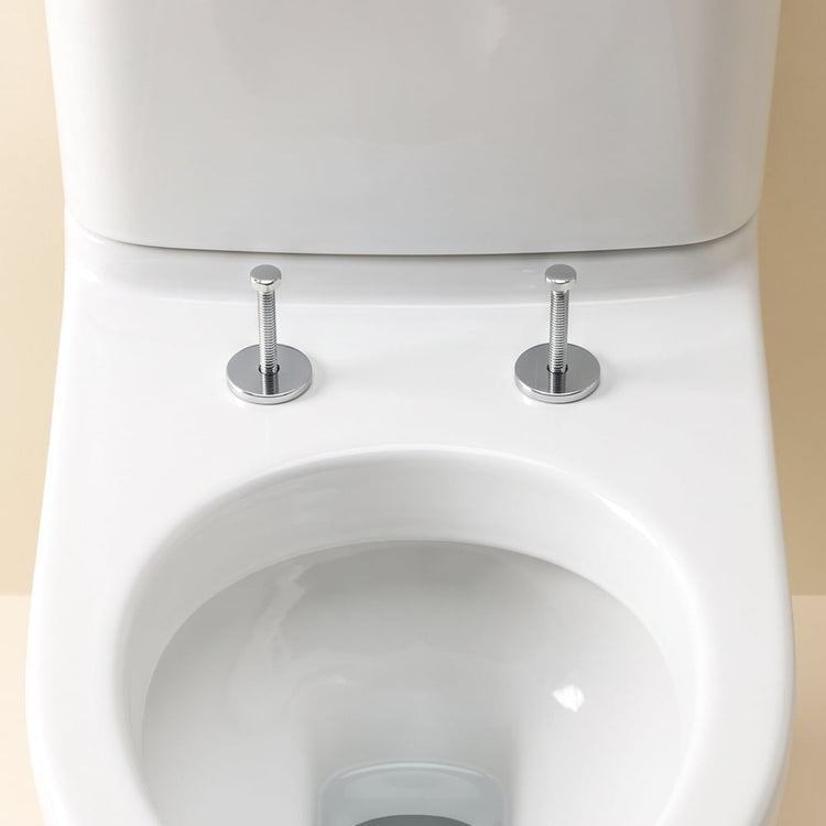 WC en deux pièces vus de haut, lunette retirée&nbsp;: à l’arrière de la cuvette, devant le réservoir, les deux boulons qui tenaient la lunette.